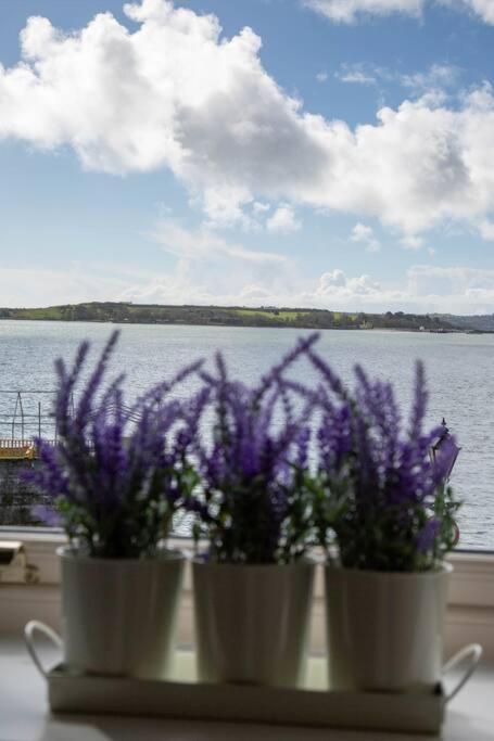 Unit 2 Island View Apartments With Stunning Harbour View 코브 외부 사진